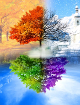 Без бренда «2KLB-6100» в Петрозаводске