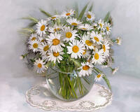 Без бренда «2KMA-0021» в Петрозаводске