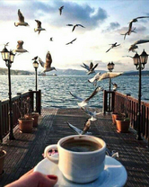 Без бренда «Кофе с видом на чаек» в Петрозаводске