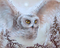 Без бренда «2KMB-3848» в Петрозаводске