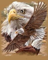 Без бренда «2KMB-4315» в Петрозаводске