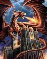 Без бренда «Дракон огня и молний» в Петрозаводске