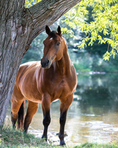 Без бренда «2KMB-4594» в Петрозаводске