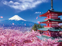 Без бренда «2KSB-7277» в Петрозаводске