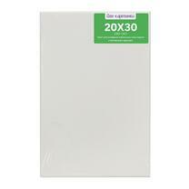 Без бренда «Коробка 80 шт.: Холст Две картинки на подрамнике 20X30» в Петрозаводске