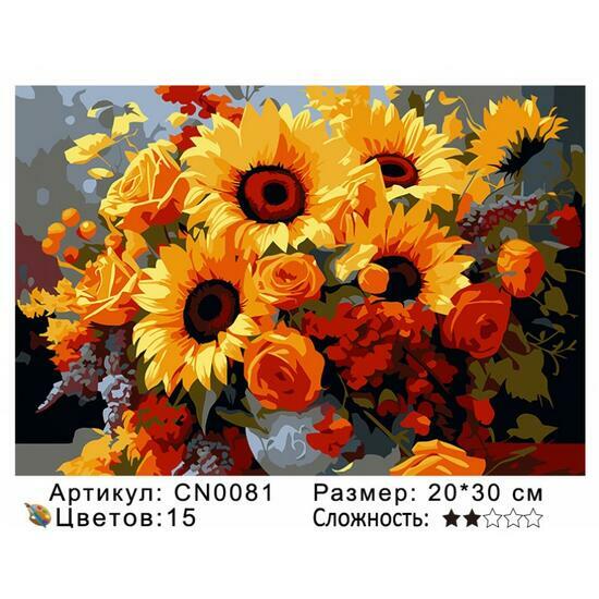 Картина по номерам 20x30 CN0081