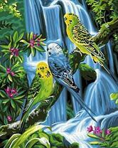 Милые попугаи на фоне водопада