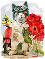 Котенок приехал на мопеде