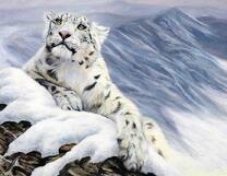 Снежный барс на фоне гор