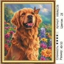 Без бренда «HWA6726» в Петрозаводске