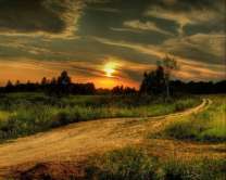 Без бренда «Проселочная дорога на закате» в Петрозаводске