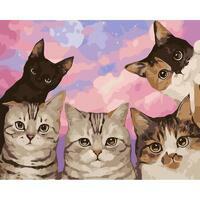 Без бренда «Такие разные котики» в Петрозаводске в интернет-магазине  Без бренда «Такие разные котики» в Петрозаводске