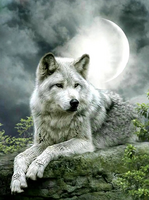 Без бренда «Коробка 25 шт. картин по номерам BOX25-GX21058» в Петрозаводске