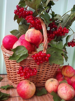 Без бренда «Коробка 25 шт. картин по номерам BOX25-GX5174» в Петрозаводске