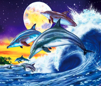 Игривые дельфины на фоне полнолуния