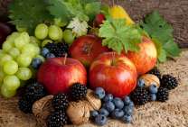 Без бренда «Фрукты, ягоды и орехи» в Петрозаводске