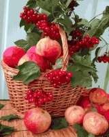 Без бренда «Плетёная корзина с калиной и яблоками» в Петрозаводске