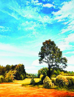 Без бренда «Осенний пейзаж с голубым небом» в Петрозаводске в интернет-магазине  Без бренда «Осенний пейзаж с голубым небом» в Петрозаводске