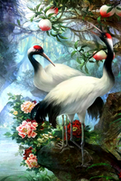 Без бренда «Коробка 25 шт. картин по номерам BOX25-GX29399» в Петрозаводске