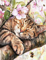 Без бренда «Волосатый котик спит на ветви яблони» в Петрозаводске